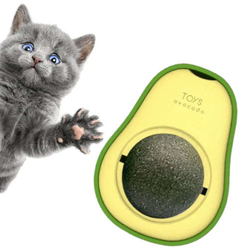 Passa Tempo Para Gatos - Cat Snips
